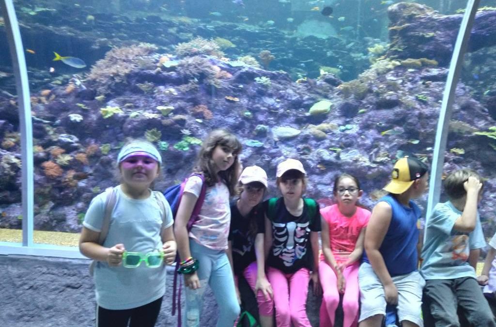 Wycieczka do Łodzi- klasa 2