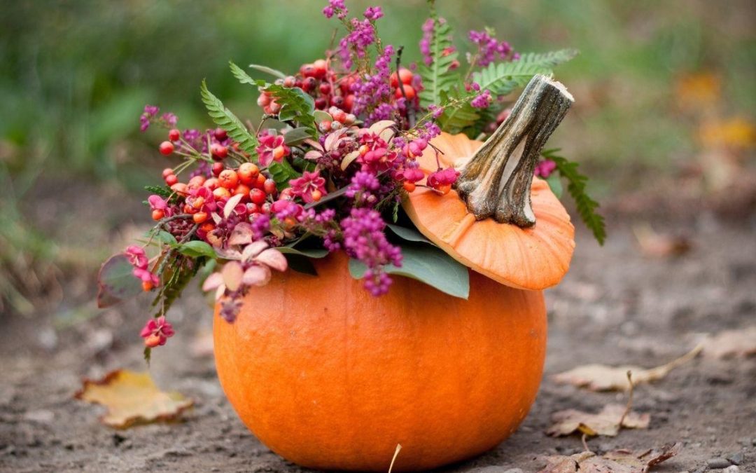 Finał konkursu na najładniejszą ozdobę z dyni